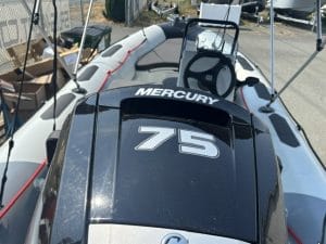 2024 Zodiac open 4.8